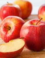 Malvorlage für Kinder