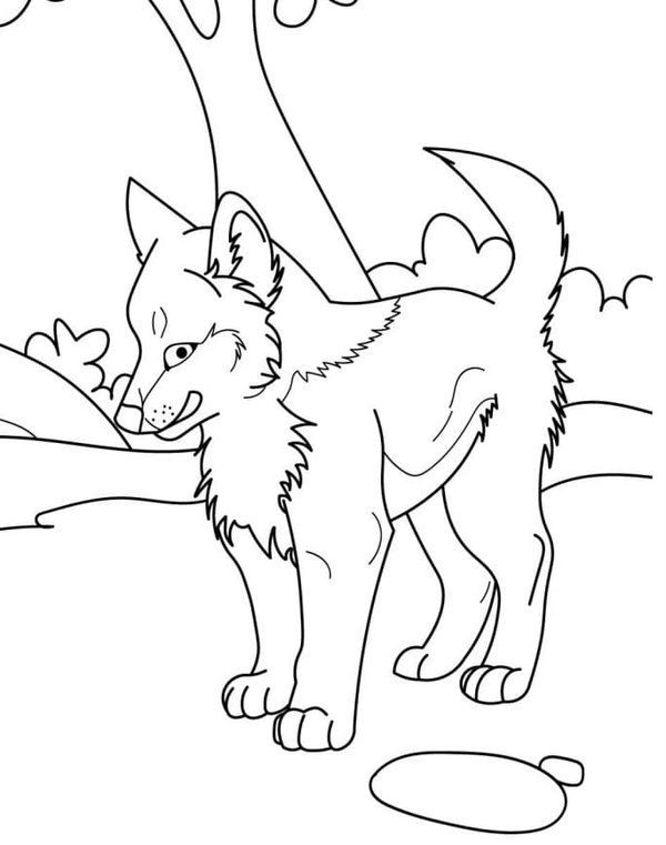 Bebe Lobo En El Bosque coloring page for children