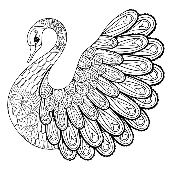 Coloring page for kids
