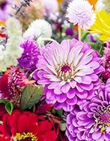 Blumen coloring page for children