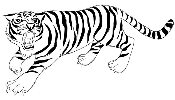 Feuille de coloriage Tigre debout rugissant