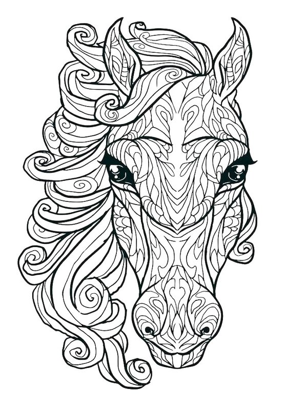 Cabeza de caballo detallada coloring page for children