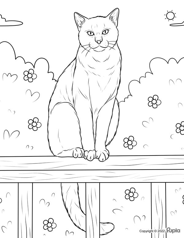 Chat Assis Sur Un Banc coloring page for children