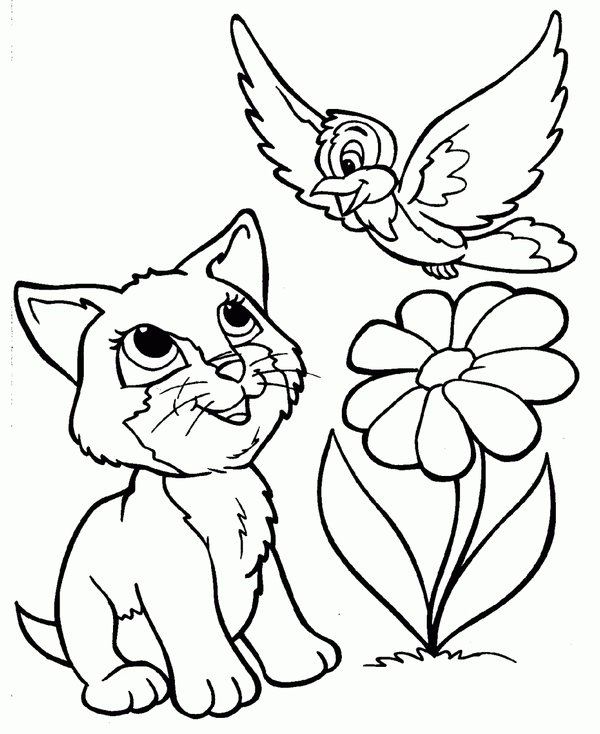 Chat Avec Oiseau Et Fleur coloring page for children