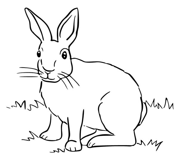 Conejito En La Hierba coloring page for children