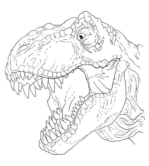 Dinosaur T-Rex Head coloring page for children