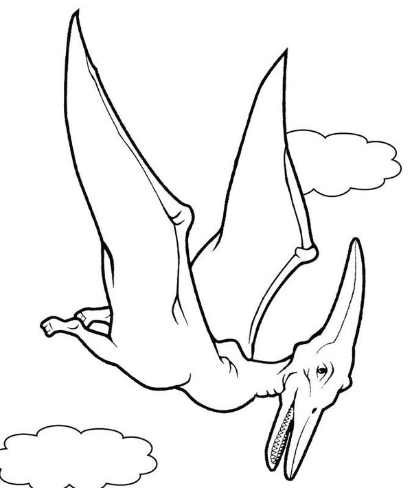 Dinosaure Pterodactyle coloring page for children