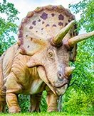 Dinosaurs coloring page for children