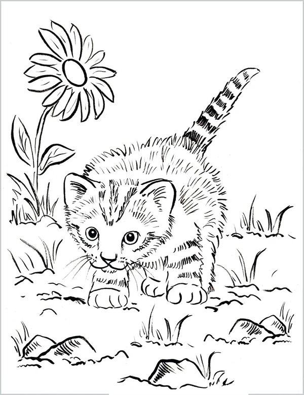 Gato jugando en el jardín coloring page for children