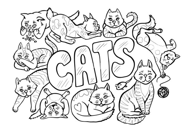 Coloring Page Common Cats