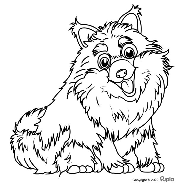 Hairy Happy Dog coloring page for children