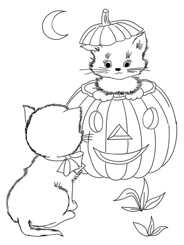 Halloween Kat Pompoen coloring page for children
