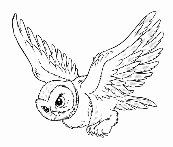 Harry Potter Hedwig Owl coloring page for children