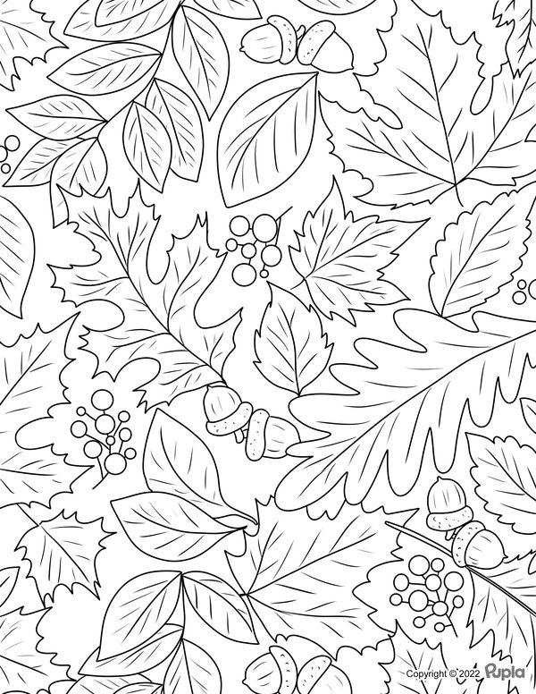 Herfst Bladeren Eikels Compositie coloring page for children