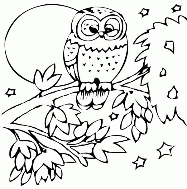 Herfst Uil Boom coloring page for children