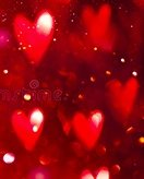 Please provide the Dutch text.