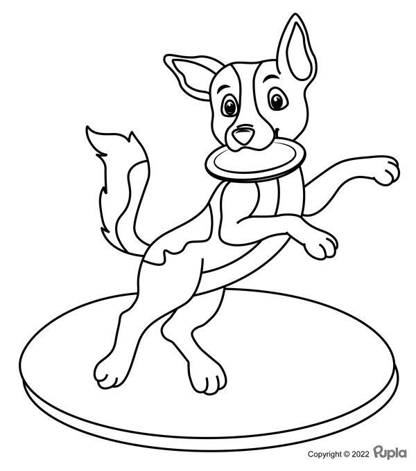 Hond Frisbee coloring page for children