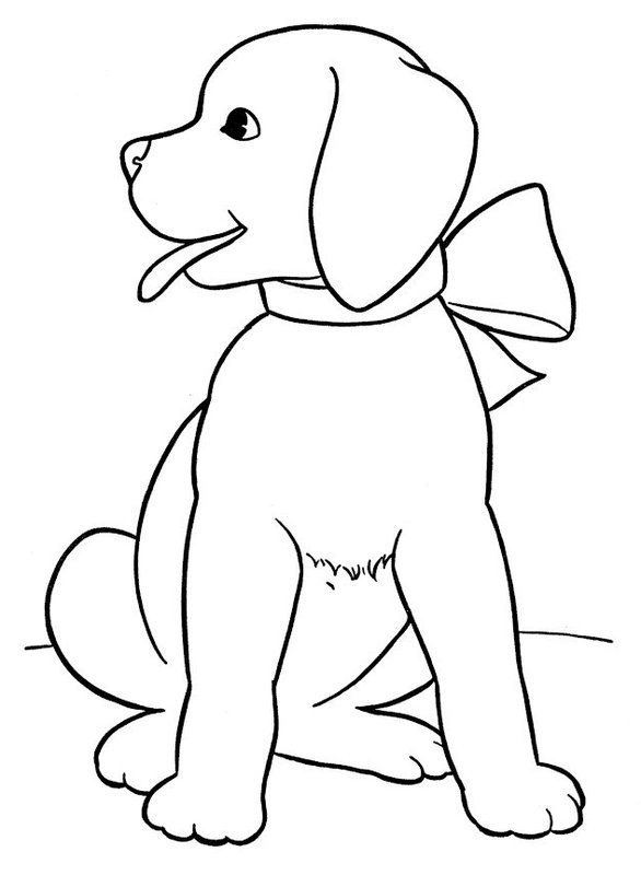 Hund Golden Retriever Welpe coloring page for children