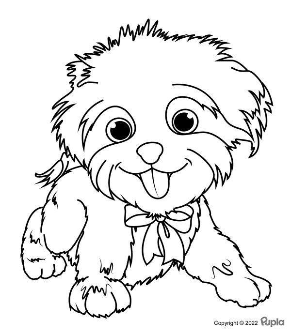 Hund Haariger Welpe coloring page for children