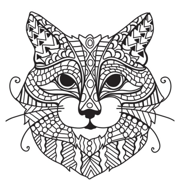 Kat Hoofd coloring page for children