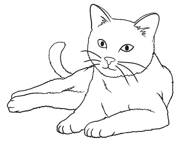 Kat Liggend coloring page for children