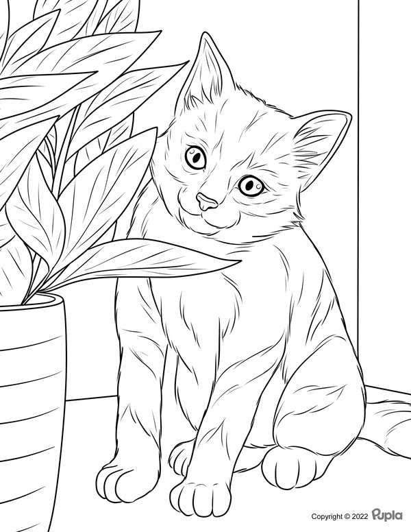 Coloring Page Cat with Plant