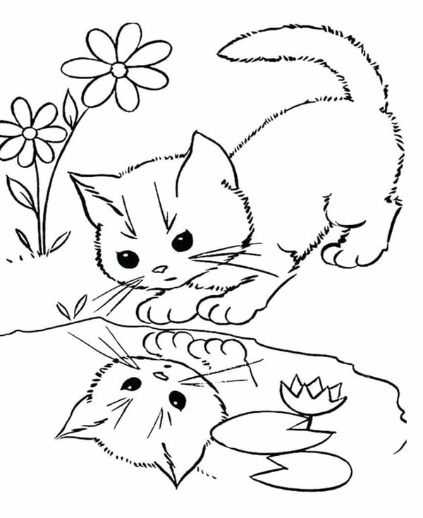 Kitten Kijkt Water coloring page for children