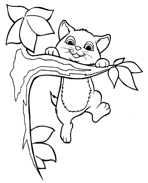 Kitten Tree coloring page for children