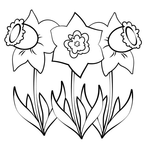 Lente Drie Narcissen coloring page for children
