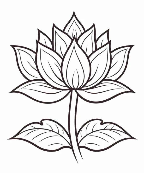Lotusblume coloring page for children