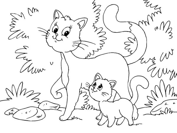 Mam Cat Baby Kitten coloring page for children