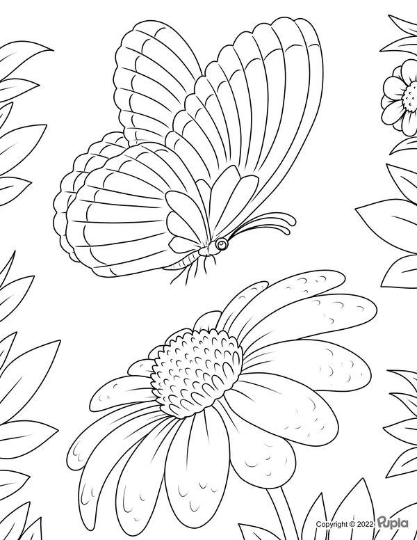 Mooie Vlinder Grote Bloem coloring page for children