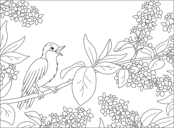 Oiseau Chantant Dans Un Arbre Au Printemps coloring page for children