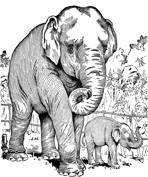 Olifant Met Baby Gedetailleerd coloring page for children