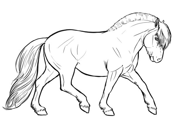 Paard Fjord coloring page for children