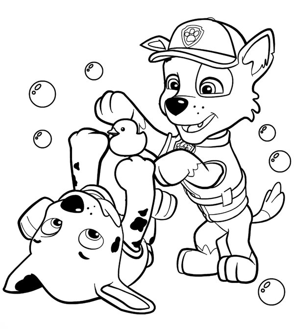 Pat' Patrouille Rocky & Marshall coloring page for children