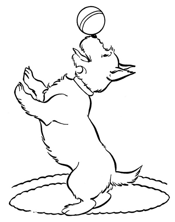Perro Con Pelota coloring page for children