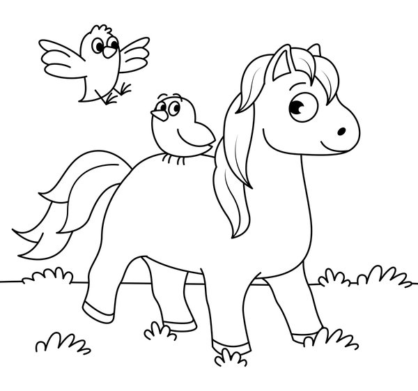 Feuille de coloriage Cheval avec Oiseaux