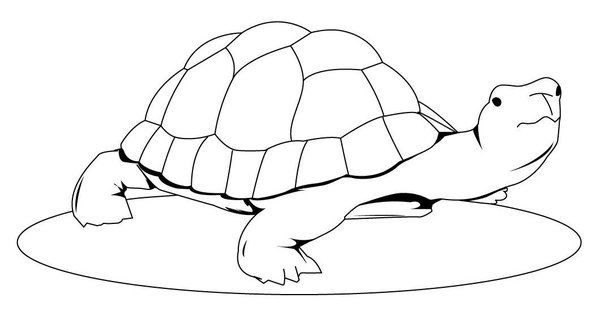 Schildkrote Schaut Nach Oben coloring page for children