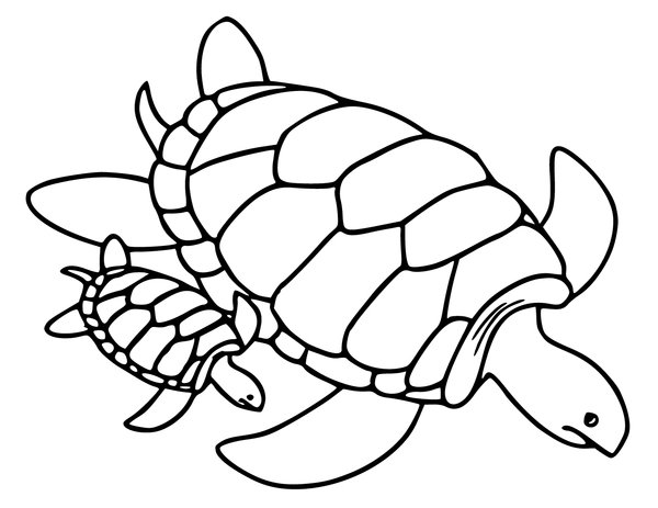 Coloring Page Turtle Baby and Mother