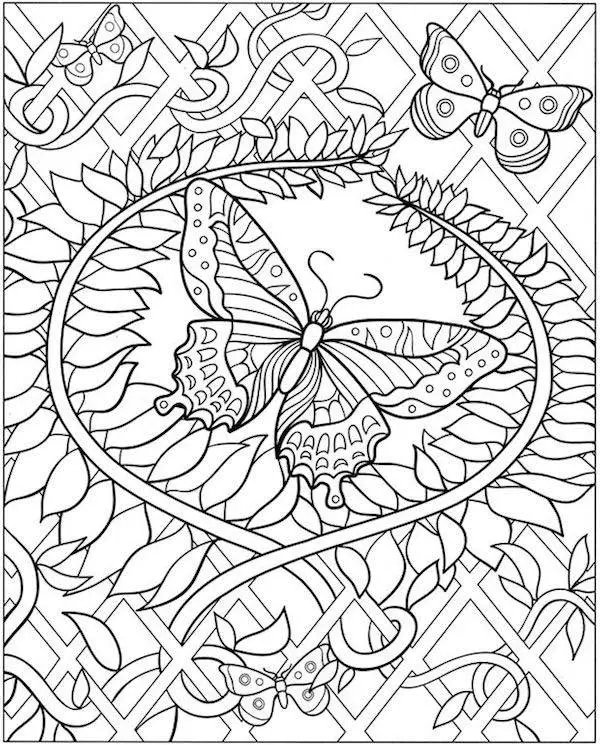 Schmetterling Am Zaun coloring page for children
