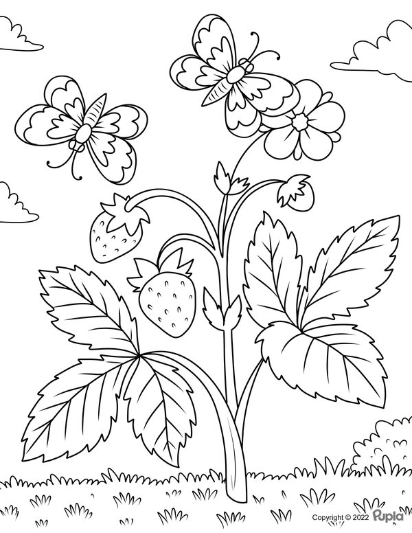Feuille de coloriage pour enfants