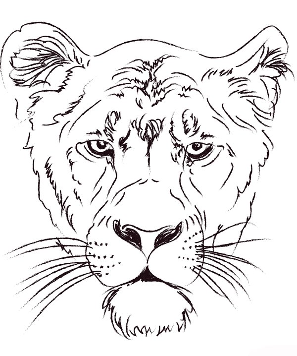 Tête de lion femelle coloring page for children