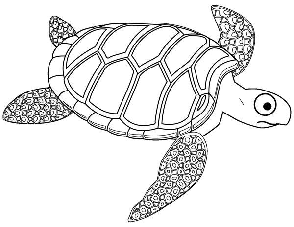 Tortue aux grands yeux coloring page for children