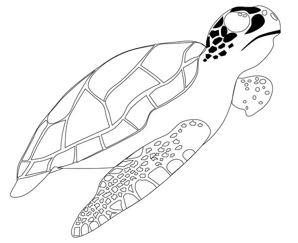 Tortue de mer nageant vers le haut coloring page for children