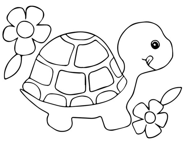 Tortue Mignonne Avec Des Fleurs coloring page for children