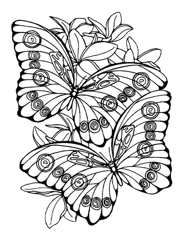 Twee Vlinders coloring page for children