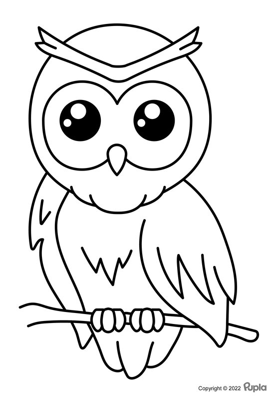 Uil Makkelijk Schattig coloring page for children