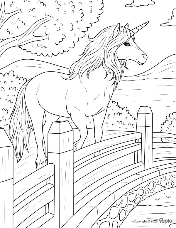 Valla Unicornio coloring page for children