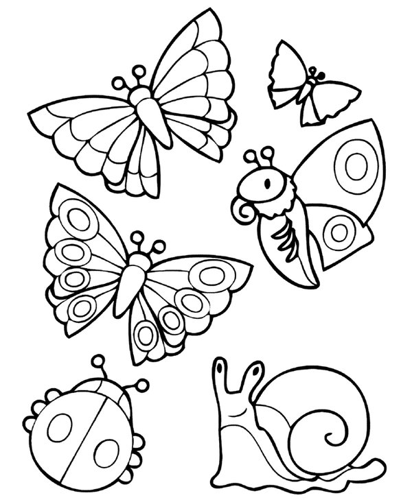 Verschillende Lente Dieren coloring page for children